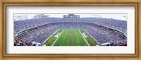NFL Football, Ericsson Stadium, Charlotte, North Carolina, USA Fine Art Print