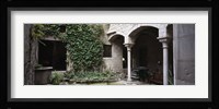 Ivy on the wall of a house, Girona, Spain Fine Art Print
