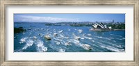 Pleasure Boats, Sydney Harbor, Australia Fine Art Print