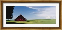 Barn in a wheat field, Washington State (horizontal) Fine Art Print