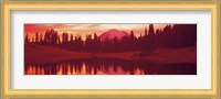 Reflection of trees in water, Tipsoo Lake, Mt Rainier, Mt Rainier National Park, Washington State, USA Fine Art Print
