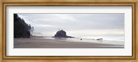 Coast La Push Olympic National Park WA Fine Art Print