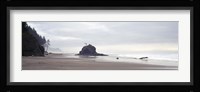 Coast La Push Olympic National Park WA Fine Art Print