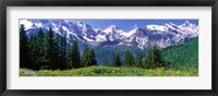 Murren Switzerland Fine Art Print