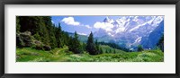 Alpine Scene Near Murren Switzerland Fine Art Print