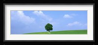 Lone Tree on Hilltop Salzkammergut Austria Fine Art Print