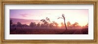 Kakadu National Park Northern Territory Australia Fine Art Print