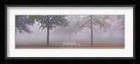 Trees and Bench in Fog Schleissheim Germany Fine Art Print