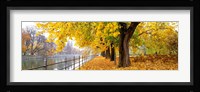 Autumn Scene Munich Germany Fine Art Print