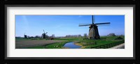 Windmills near Alkmaar Holland (Netherlands) Fine Art Print