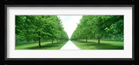 Avenue at Chateau de Modave Ardennes Belgium Fine Art Print
