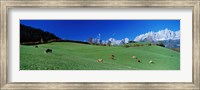 Cattle Graze in Alps Wilder Kaiser Going Austria Fine Art Print