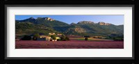 Lavender Fields And Farms, High Provence, La Drome, France Fine Art Print