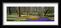 Keukenhof Garden Lisse The Netherlands Fine Art Print