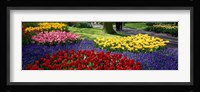 Colorful flower beds, Keukenhof Garden, Lisse, The Netherlands Fine Art Print