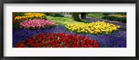 Colorful flower beds, Keukenhof Garden, Lisse, The Netherlands Fine Art Print