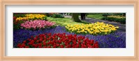 Colorful flower beds, Keukenhof Garden, Lisse, The Netherlands Fine Art Print