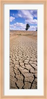 Drought, Australia Fine Art Print