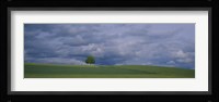 Storm clouds over a field, Zurich Canton, Switzerland Fine Art Print
