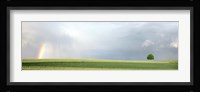 Rainbow and storm clouds over a field, Zurich Canton, Switzerland Fine Art Print