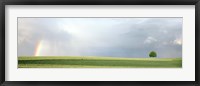 Rainbow and storm clouds over a field, Zurich Canton, Switzerland Fine Art Print
