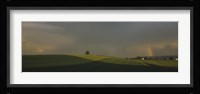 Storm clouds over a field, Canton Of Zurich, Switzerland Fine Art Print