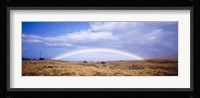 Field, Rainbow, Hawaii, USA Fine Art Print