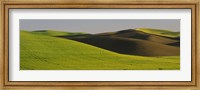 Wheat Field On A Landscape, Whitman County, Washington State, USA Fine Art Print