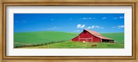 Red Barn With Horses WA Fine Art Print