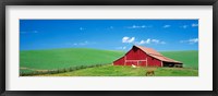 Red Barn With Horses WA Fine Art Print