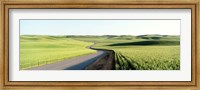 Gravel Road Through Barley and Wheat Fields WA Fine Art Print