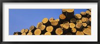 Stack of wooden logs in a timber industry, Austria Fine Art Print