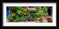 Bicycle In Front Of Wall Covered With Plants And Flowers, Rochefort En Terre, France Fine Art Print