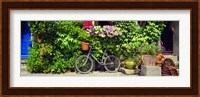 Bicycle In Front Of Wall Covered With Plants And Flowers, Rochefort En Terre, France Fine Art Print