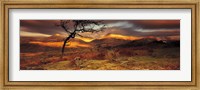 Snowdonia National Park, Wales, United Kingdom Fine Art Print
