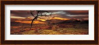 Snowdonia National Park, Wales, United Kingdom Fine Art Print