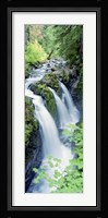 Sol Duc Falls Olympic National Park WA Fine Art Print