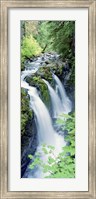 Sol Duc Falls Olympic National Park WA Fine Art Print