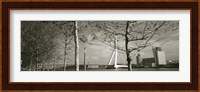 Bridge Over A River, Erasmus Bridge, Rotterdam, Netherlands Fine Art Print