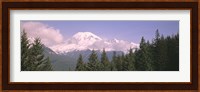 Mt Ranier Mt Ranier National Park WA Fine Art Print
