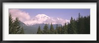 Mt Ranier Mt Ranier National Park WA Fine Art Print