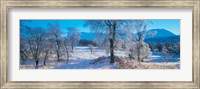 Trossachs National Park, Scotland, United Kingdom Fine Art Print
