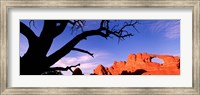 Skyline Arch, Arches National Park, Utah, USA Fine Art Print