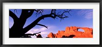 Skyline Arch, Arches National Park, Utah, USA Fine Art Print