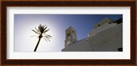 Low angle view of a palm tree near a church , Ios, Cyclades Islands, Greece Fine Art Print