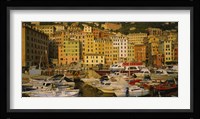 Boats at the harbor, Camogli, Liguria, Italy Fine Art Print