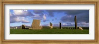 Sheep, Stones Of Stenness, Orkney Islands, Scotland, United Kingdom Fine Art Print