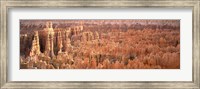 Aerial View Of The Grand Canyon, Bryce Canyon National Park, Utah, USA Fine Art Print