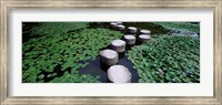 Water Lilies In A Pond, Helan Shrine, Kyoto, Japan Fine Art Print