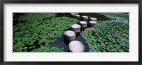 Water Lilies In A Pond, Helan Shrine, Kyoto, Japan Fine Art Print